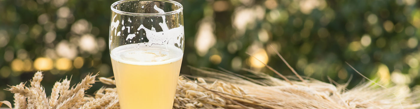 Cervezas Weissbier, una alternativa para las temperaturas suaves