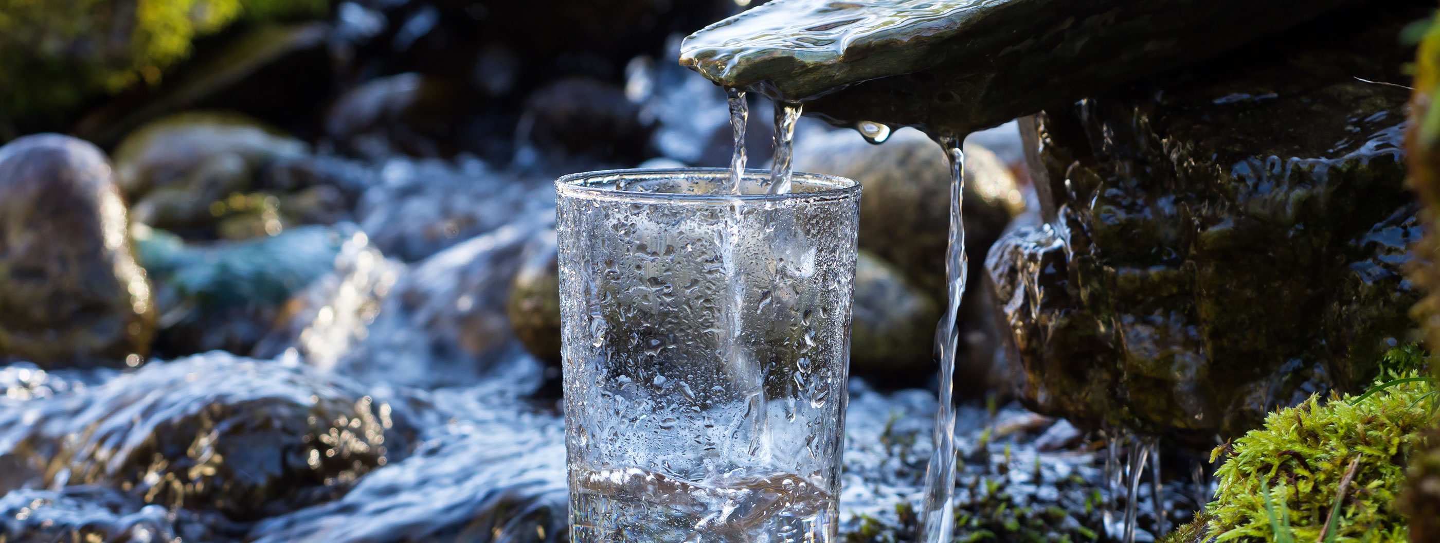 El agua y su importante papel en la cerveza