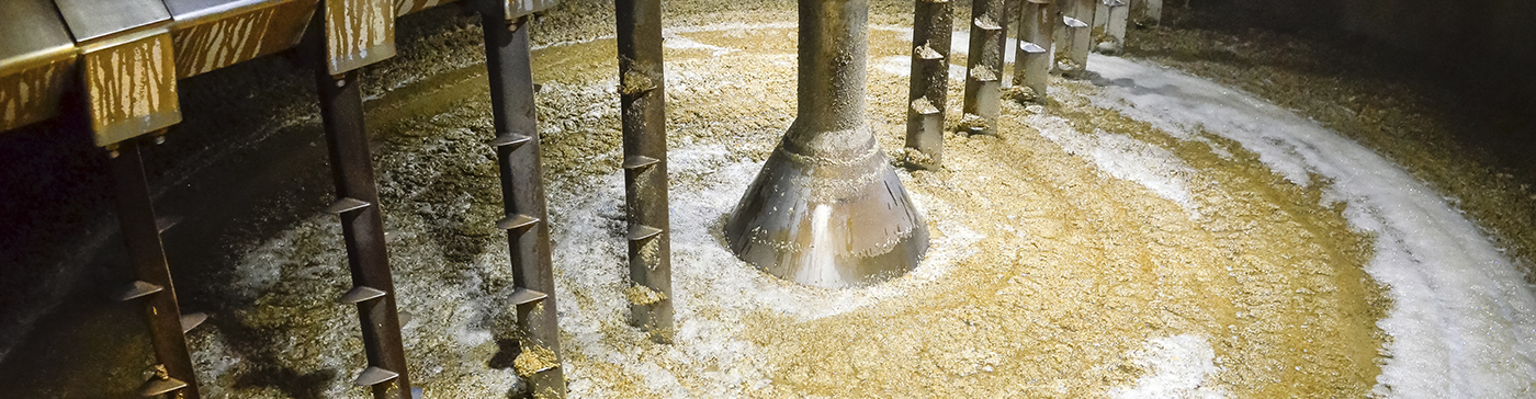 La fermentación: clave en la producción cervecera