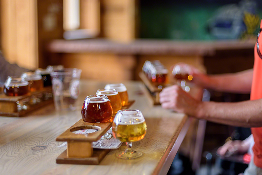 catas en casa cerveza, catas cerveza, aprender a catar cerveza, como organizar una cata de cerveza, como organizar en casa una cata de cerveza, probar diferentes cervezas, sabor de las ipa, sabor de la cerveza, como distinguir sabor de la cerveza, sabores de cada cerveza, quiero saber más de cerveza, catar cerveza, catando cerveza, catas en casa amigos, maridaje en casa para catas cerveza